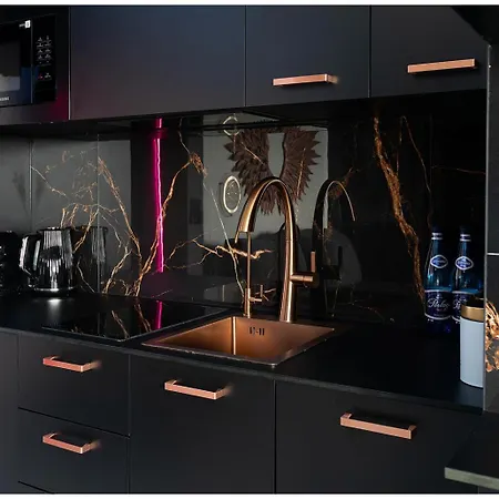 Appartement Jacuzzi Glass-house Rakowicka 20 Station Cracovie